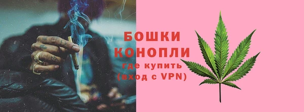 мдпв Верхний Тагил