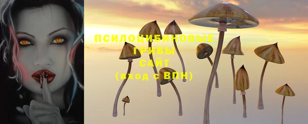 амф Верхнеуральск