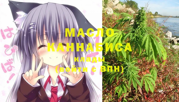 мдпв Верхний Тагил