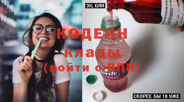 мдпв Верхний Тагил