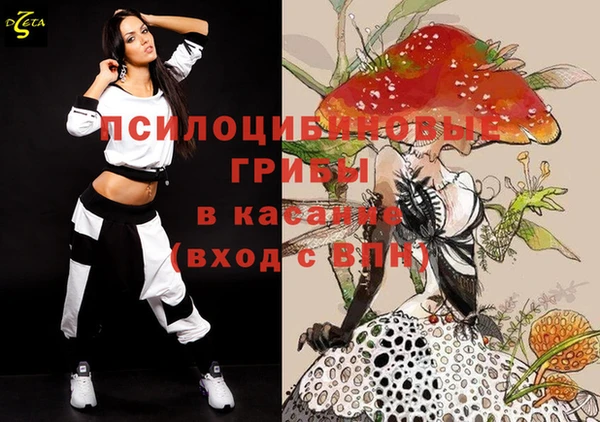 мдпв Верхний Тагил